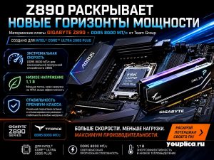 Z890 инфографика